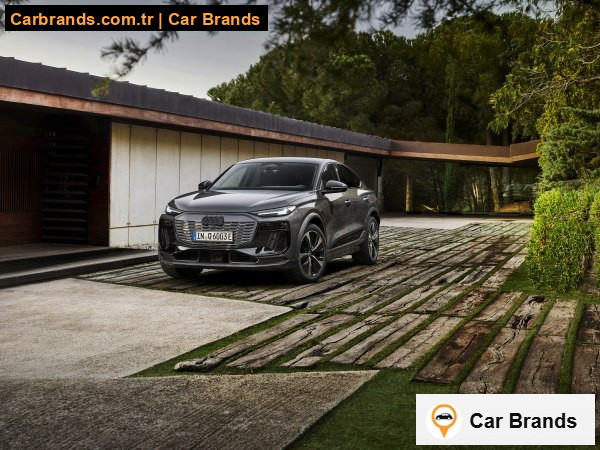 performance 100 kWh (326 bg) 2024