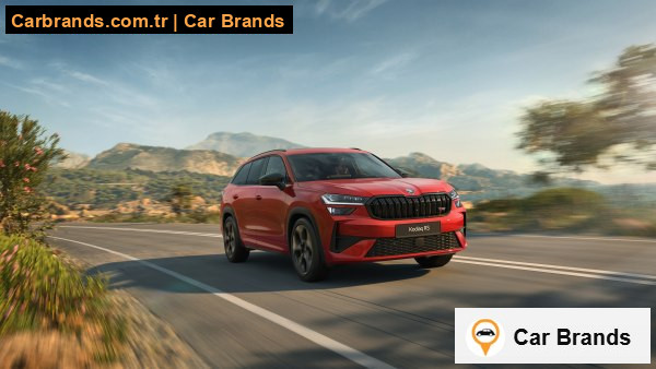 RS 2.0 TSI (265 bg) 4x4 DSG 7 Seat 2024