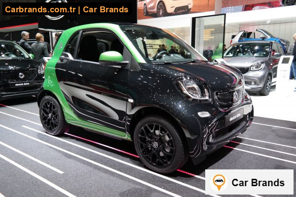 17.6 kWh (82 bg) electric drive 2017 - 2018