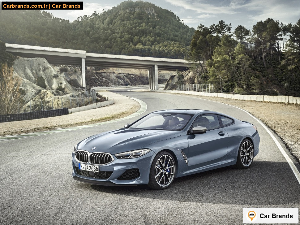 BMW 8 Serisi