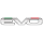 EVO Araç Logosu